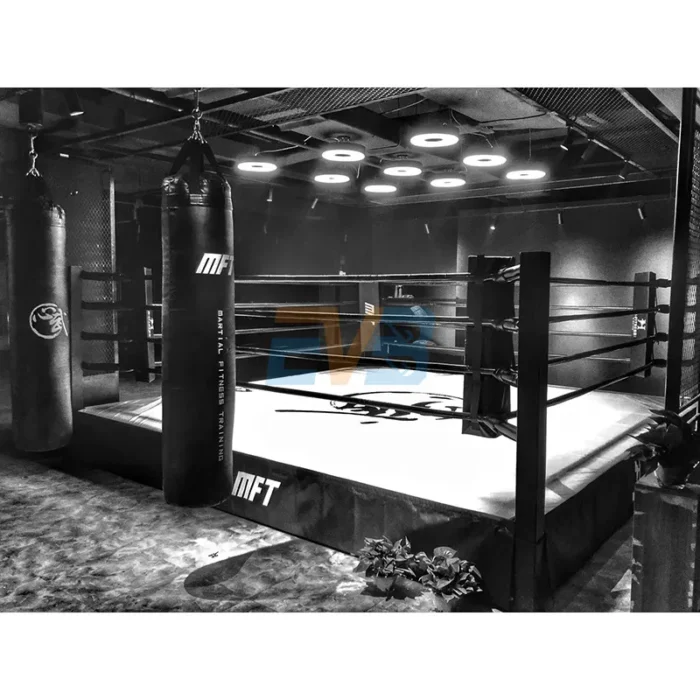 boxing ring 11