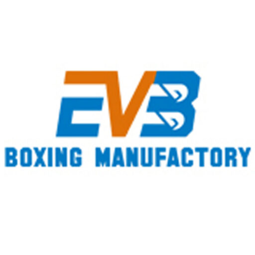 evboxingfit