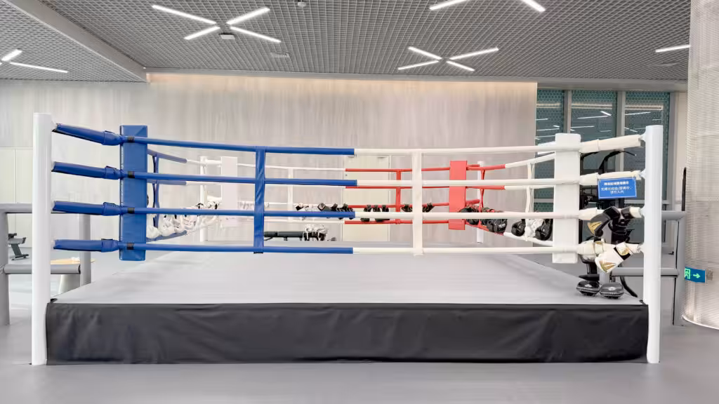 Foldable Boxing Ring vs Fixed Boxing Ring: Which Is Better for Your Gym? 2 Profiboxring
