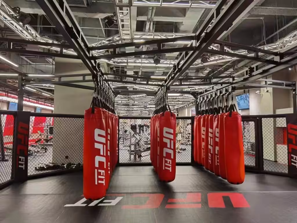 standard punching bags
