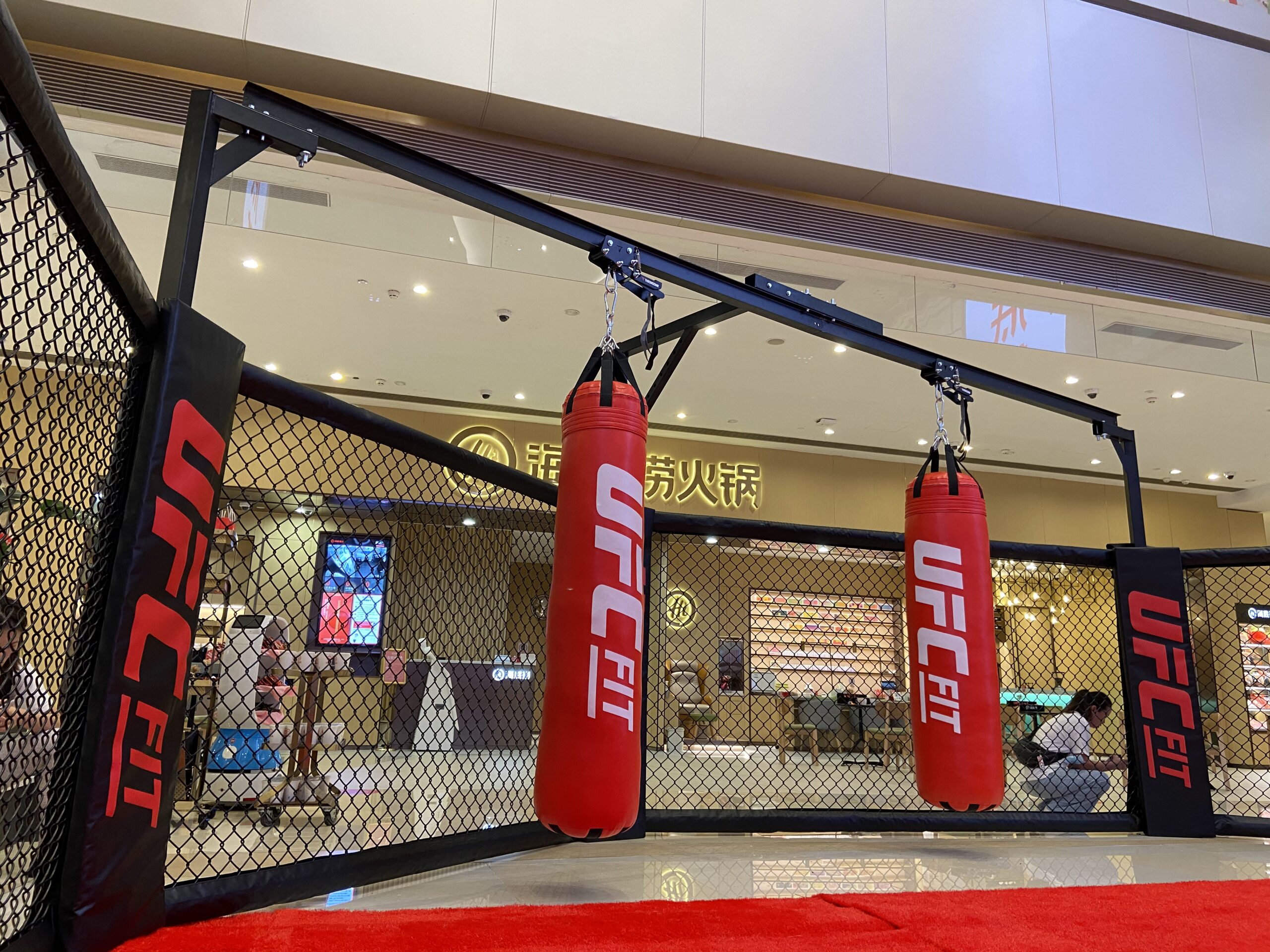 Home 10 mma cage panel
