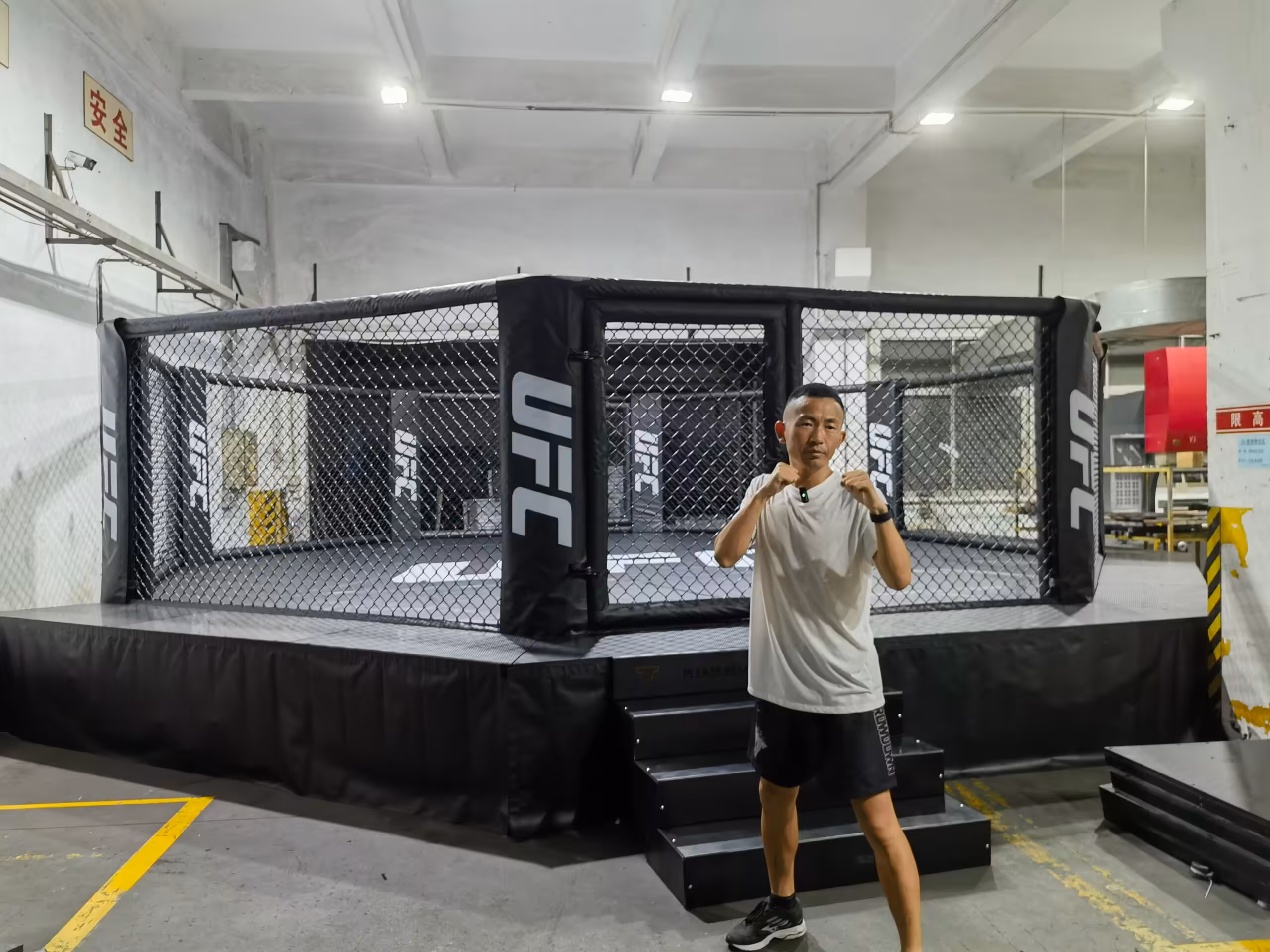 UFC mma cage