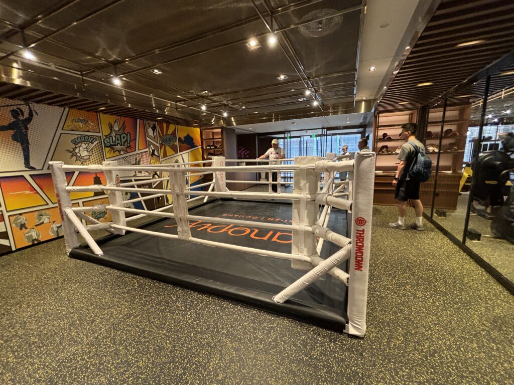 floor boxing ring