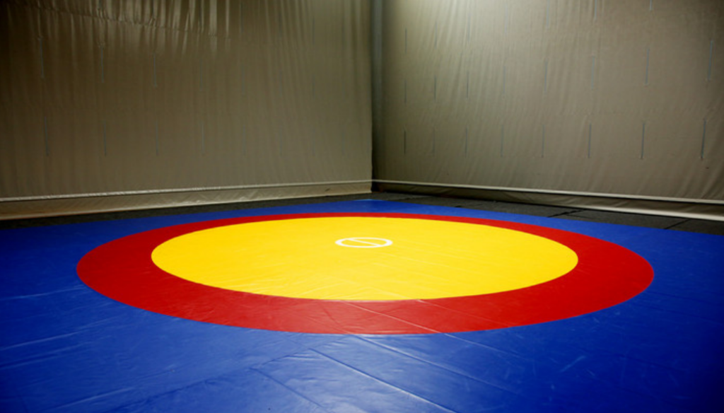 MMA Wrestling Mats