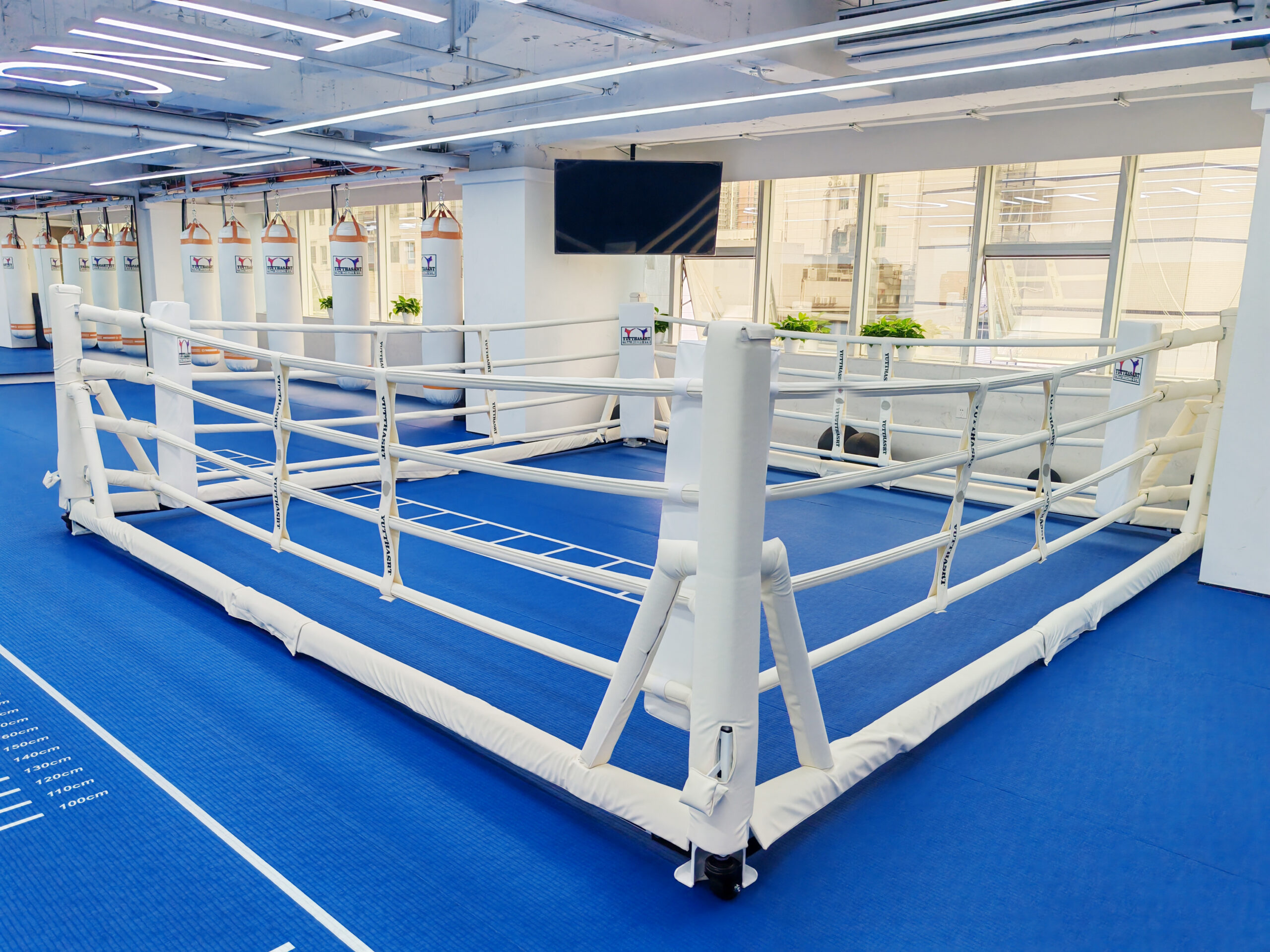 Boxing Ring 3 foldable boxing rings