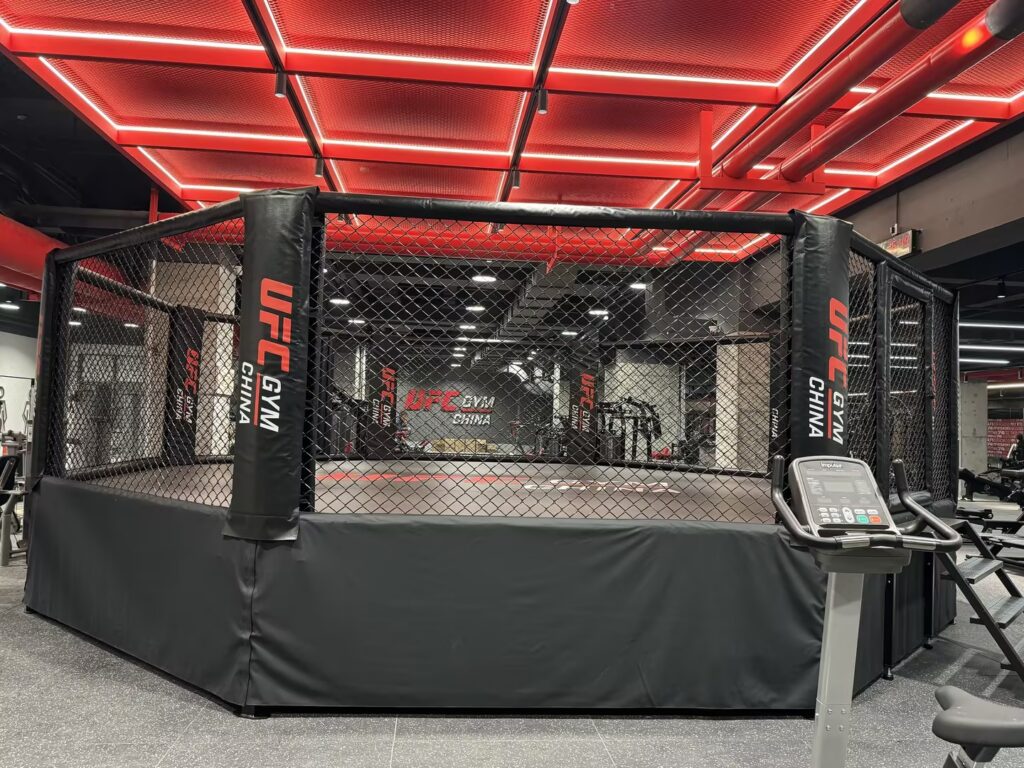Home 3 ufc gym octogon