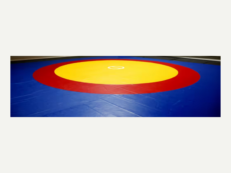 Martial Arts Mats 5 Wrestling mats