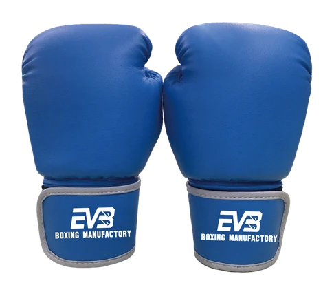 Blue EVB boxing gloves product image