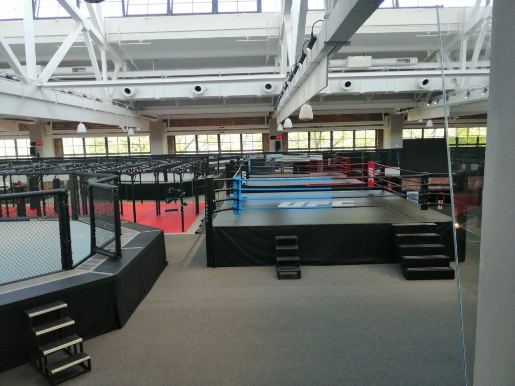 ufc ring