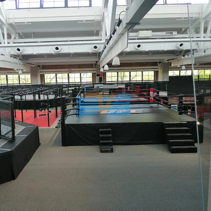 boxing ring 2