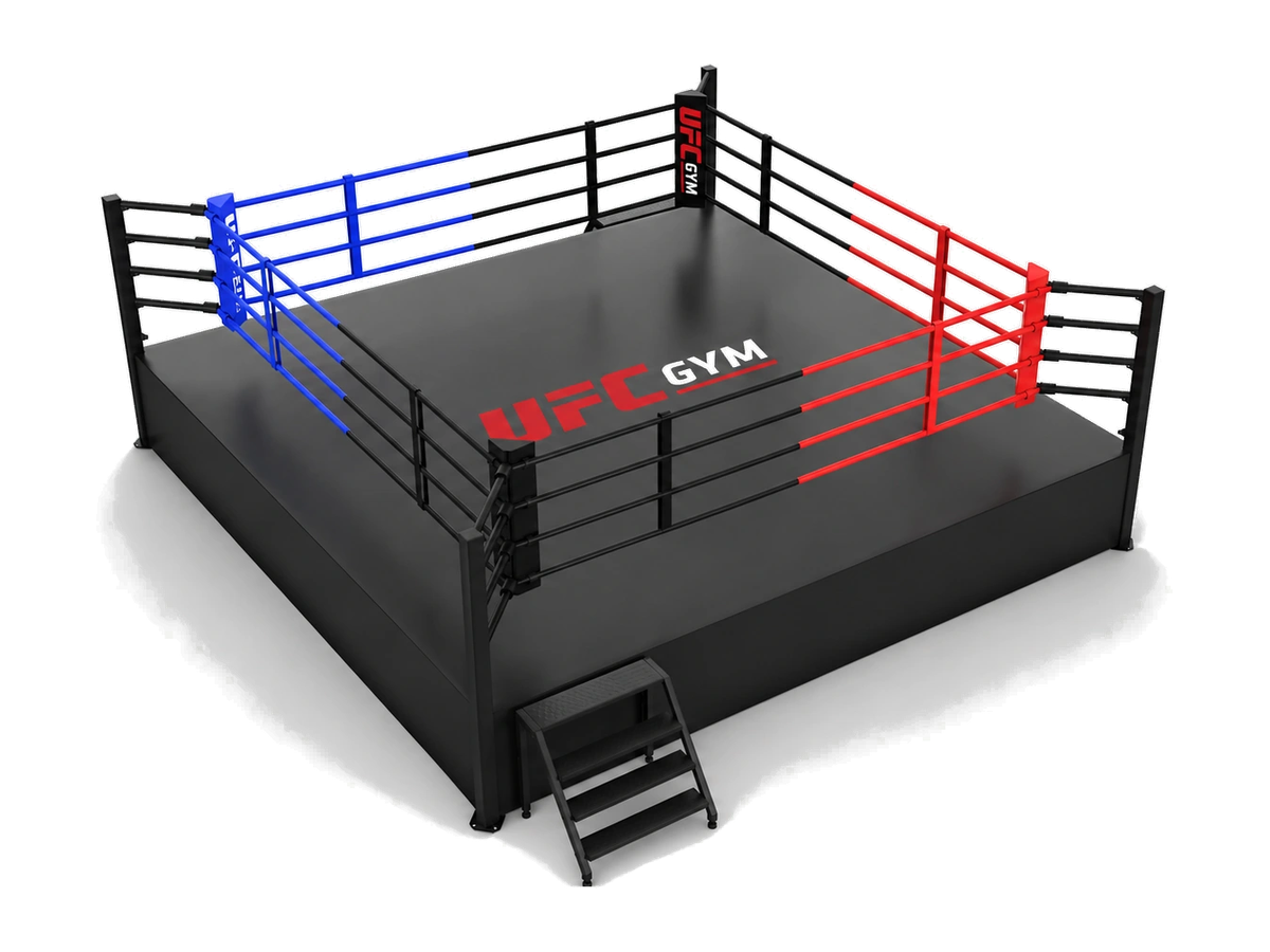 Raised-platform commercial boxing ring with visible colored ropes and stairs