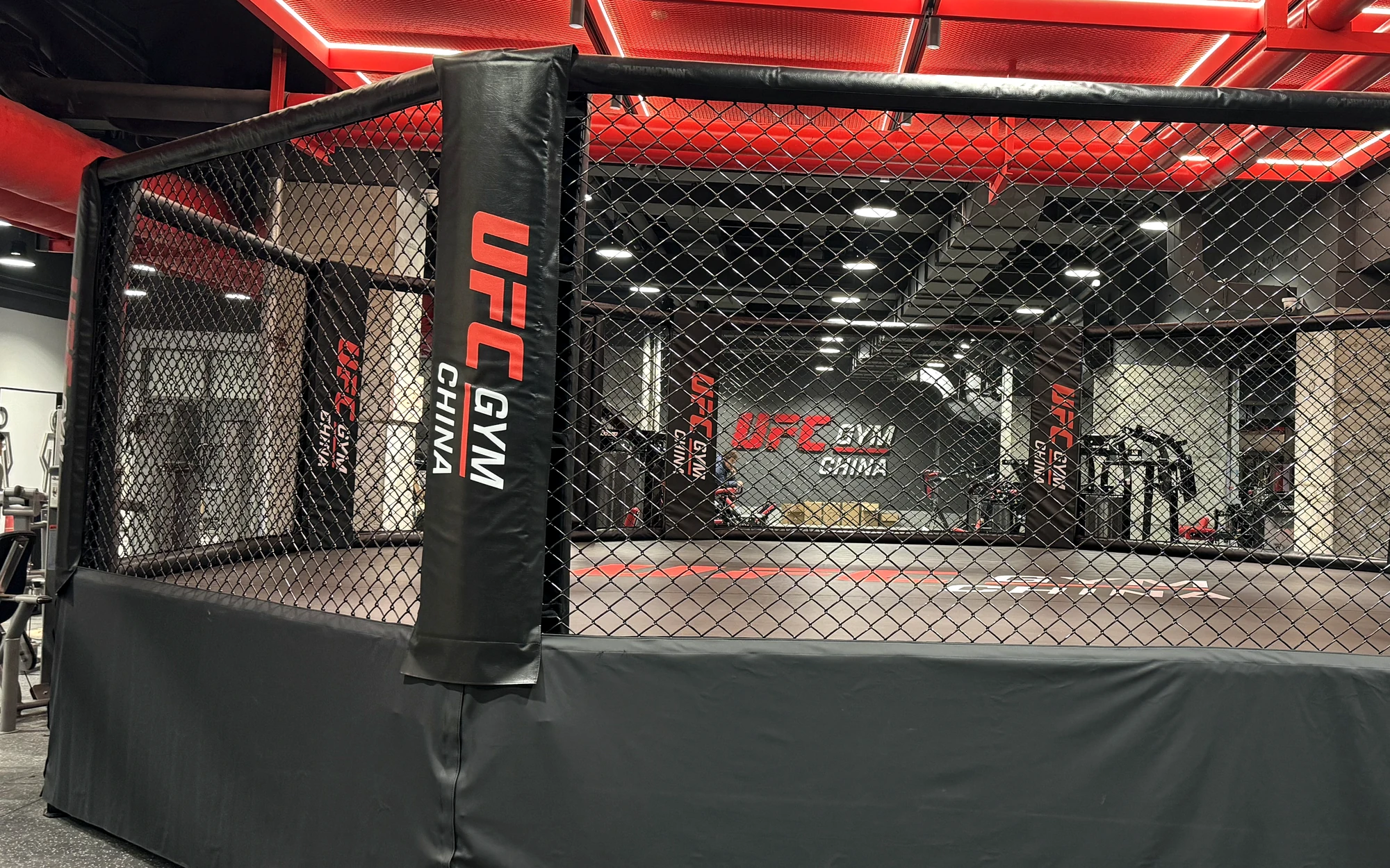 Completed commercial MMA cage installation showing padded posts, chain-link panels and full structural layout