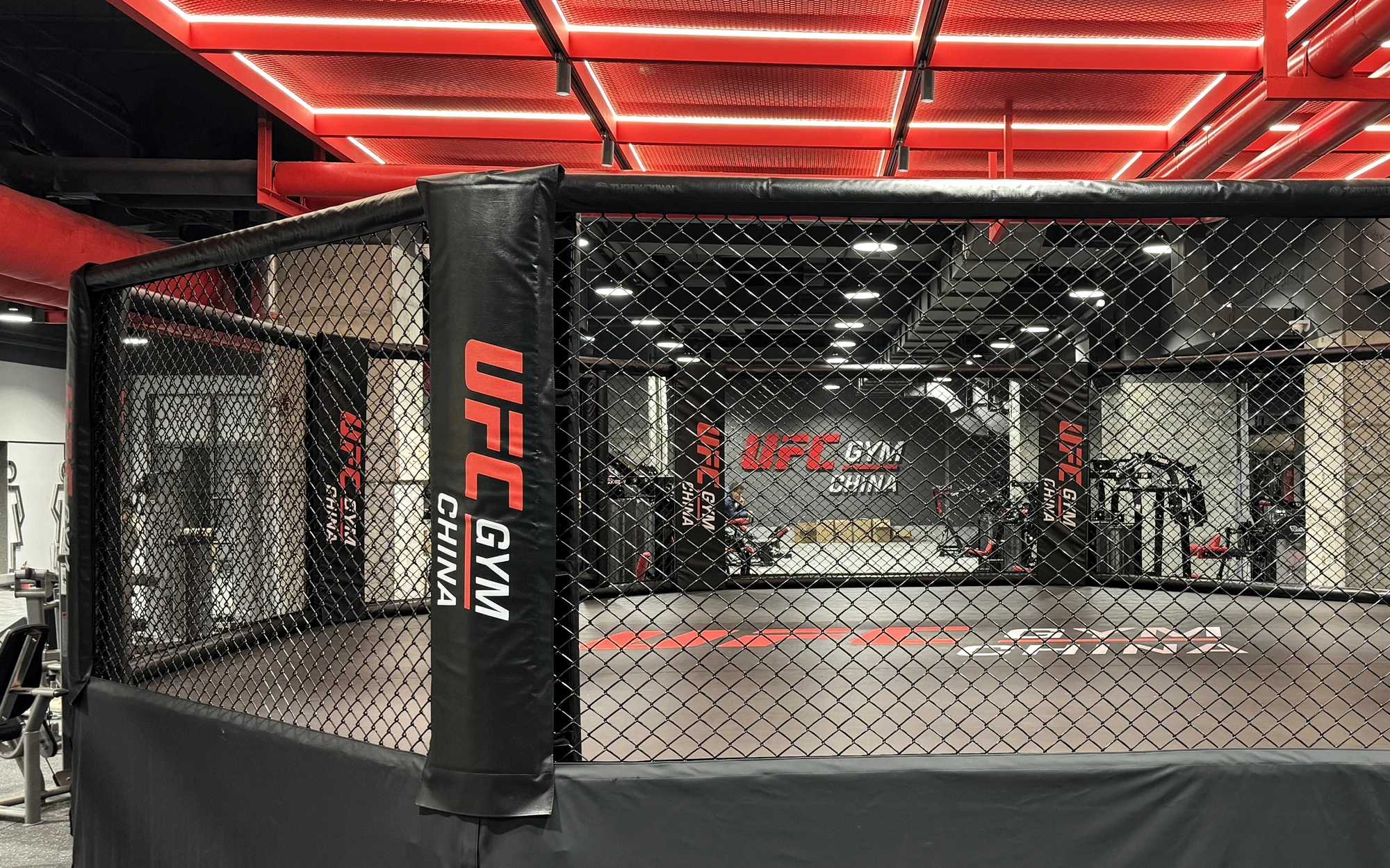 Completed commercial MMA training cage in an indoor gym, with chain-link panels and padded posts