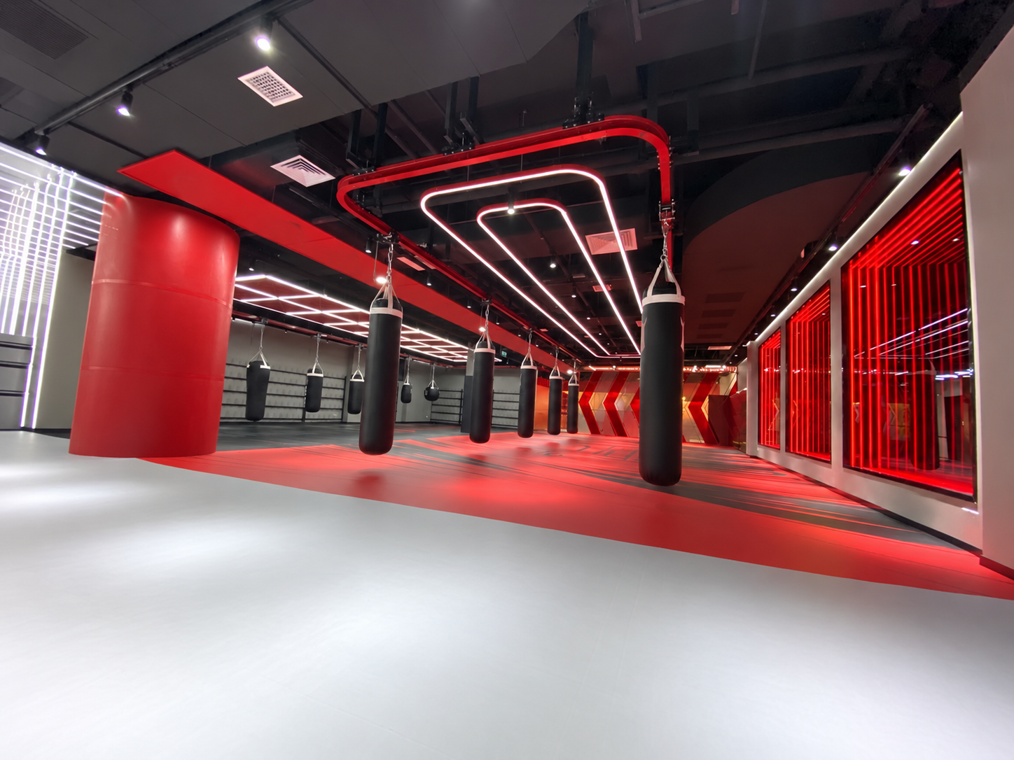 Ceiling-track heavy bag system
